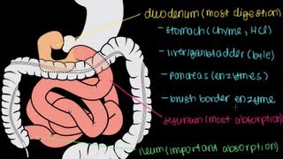 How Heart Failure is Diagnosed [upl. by Joye]