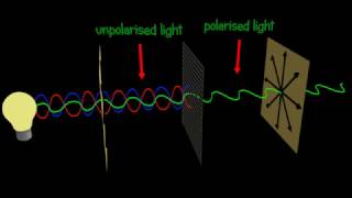 Polarization  Polarizer  Explained and animated 3d [upl. by Rainie]