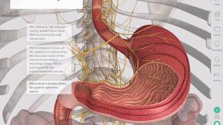 9 Things to Help Heal an Inflamed Colon [upl. by Forsta]