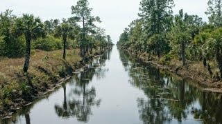 Picayune Strand State Forest Camping Overview [upl. by Welcome]