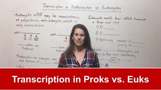 Transcription in Prokaryotes vs Eukaryotes [upl. by Issi]