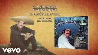 Vicente Fernández  El Adiós a la Vida Cover Audio [upl. by Niko]