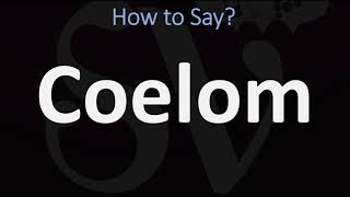 How to Pronounce Coelom CORRECTLY [upl. by Rocher]