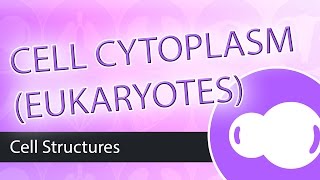 Eukaryotic Cells The Cytoplasm [upl. by Olbap56]