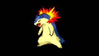 Pokemon Cries  157 Typhlosion [upl. by Nirak]