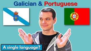 Galician vs Portuguese How SIMILAR are they [upl. by Myca]