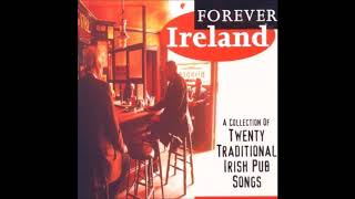 Forever Ireland  20 Irish Traditional Drinking Song Collection irishdrinkingsongs [upl. by Modern30]