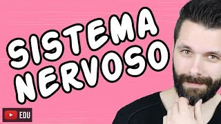 SISTEMA NERVOSO  FISIOLOGIA  Aula  Biologia com Samuel Cunha [upl. by Stedt]