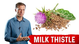 Milk Thistle The Amazing Herb for Your Liver [upl. by Previdi]