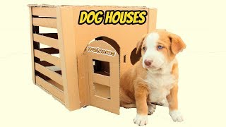 How to Make Amazing Dog House With Cardboard [upl. by Dorr926]