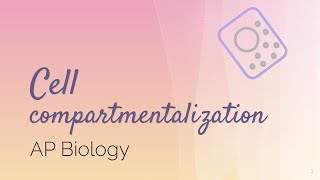 AP Biology Cell Compartmentalization [upl. by Ahras]