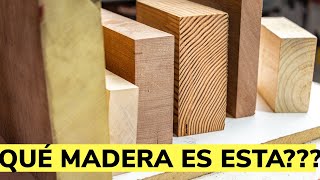 Cómo Identificar Los Tipos De Madera [upl. by Rosenkranz722]