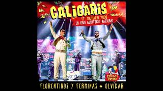 Los Caligaris  Florentinos y ferminas AUDIO [upl. by Carmel]