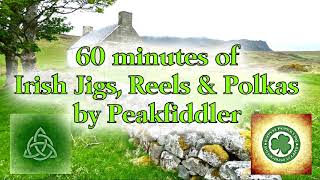 60 minutes Irish Jigs Reels amp Polkas [upl. by Hoeg]