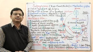 Diabetes Mellitus Part10 Mechanism of Action of Sulfonylurease  Antidiabetic Drugs  Diabetes [upl. by Abernathy]