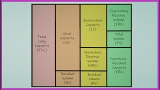 Lung Volumes and Capacities Made Easy [upl. by Tammy]