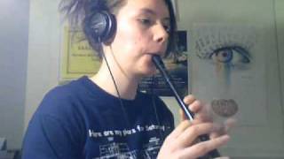 Traditional Irish Tin Whistle Songs [upl. by Winn]