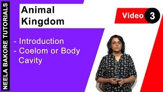 Animal Kingdom  NEET  Introduction  Coelom or Body Cavity  Neela Bakore Tutorials [upl. by Heintz]