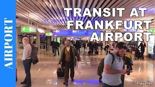 TRANSIT WALK AT FRANKFURT Airport FRA Terminal 1  Connection Flight Transfer Arriving amp Departing [upl. by Acima]