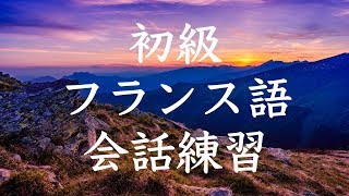 初級フランス語会話トレーニング230  基本フレーズ聞き流し [upl. by Adiv99]