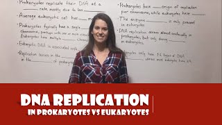 DNA Replication in Prokaryotes vs Eukaryotes [upl. by Hilliary345]